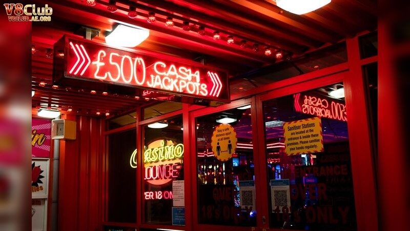 Chiến Lược Thành Công Trong Cá Cược