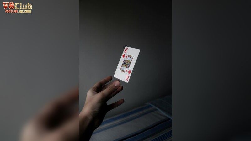 Khám Phá Các Khuyến Mãi Thú Vị